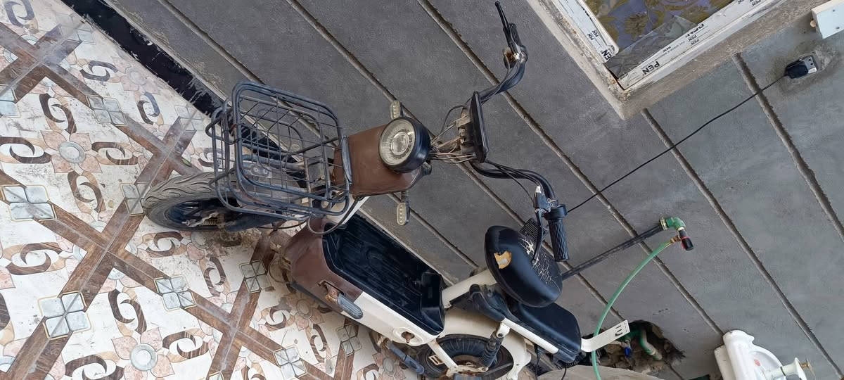 دراجة شحن للبيع عطل بسيط


**إذا كنت صاحب هذا الإعلان وتريد حذفه لأي سبب، رجاءا أرسل رسالة إلى الدعم الفني**