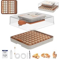 🐣 من بغداد للبصرة.. رزقكم وي "فقاسات الريف العراقي" مضمون! 🇮🇶 ​تريد مش...