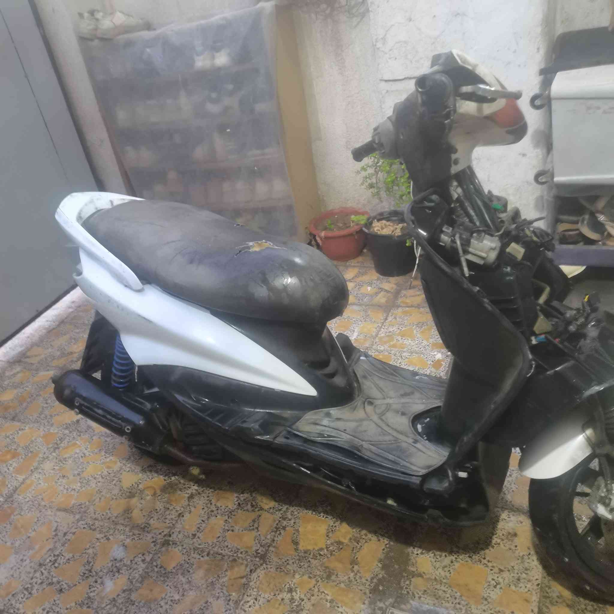 سكنس 110ياباني
دراجة كوم حديد مجفتة جديدة ماتشتغل مكطوع مواير مال بانزين تايرات زوج جددد دراجة كهربائتها كلهة شغالة سلف هندر يشتغلن مكان( شعب سوق شلال( رقم (***********) سعر 160وبيهة مجال
