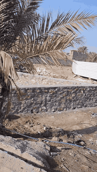 ارض الا ستثمار او يجار بشارع المسبح وجها 15ونزل 15 الا ستفسار رقمي 078...