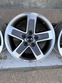 ويل كب • حجم ١٦ • أصلي