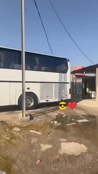 باص الفينيه • بصرة • مكلف بلنشر