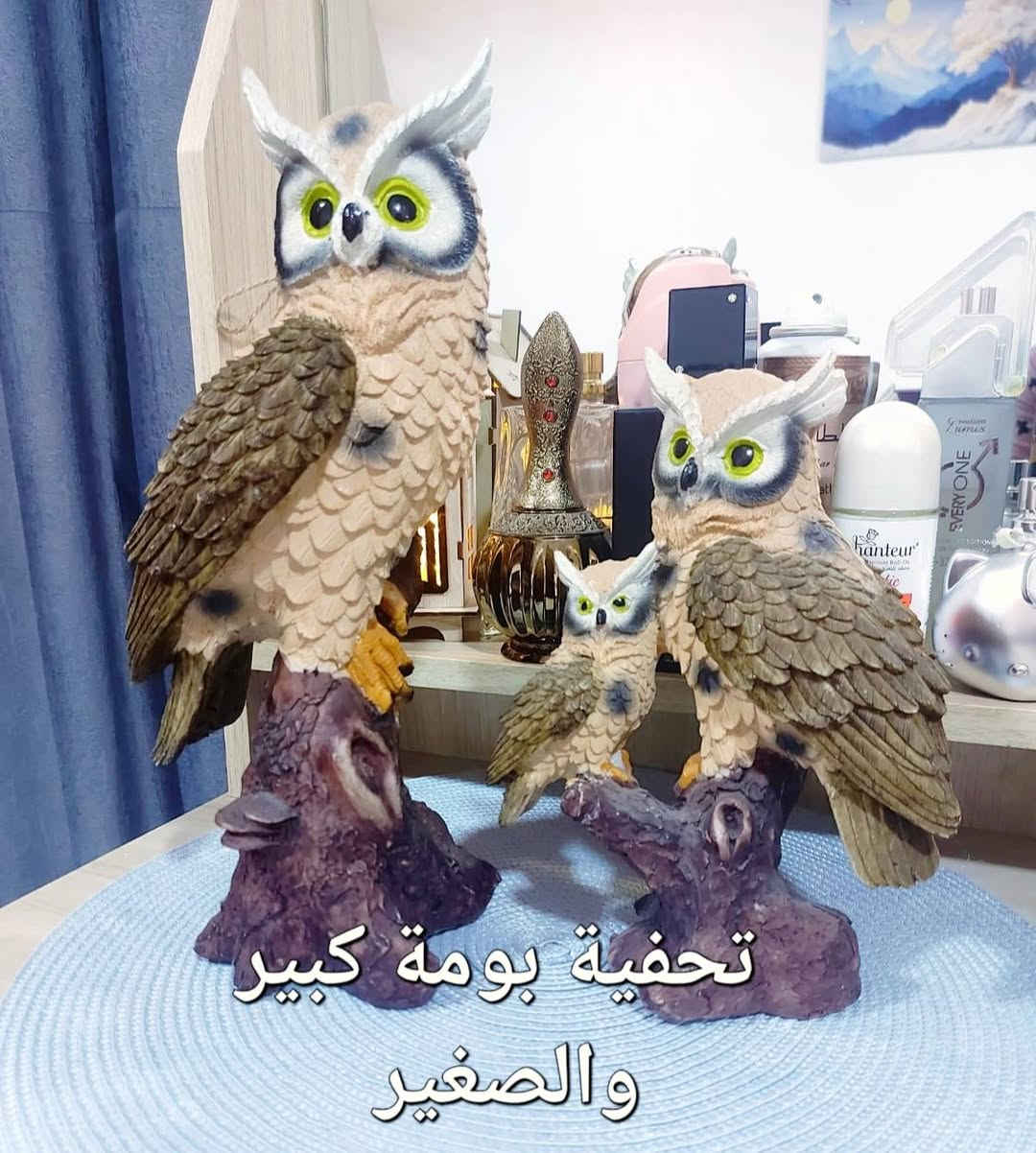 تحفيات للبيع كلمن وسعره مكاني الشعب حي البساتين


**إذا كنت صاحب هذا الإعلان وتريد حذفه لأي سبب، رجاءا أرسل رسالة إلى الدعم الفني**