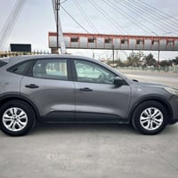 فورد سكيب • ٢٠٢٢ • بدون صبغ