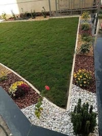 ابومحمد هندسه الحديقه وديكورات وتزين الحديقه وزرعت ثيل وقص ثيل ‏‪07844...