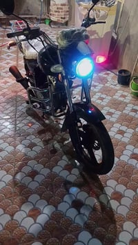 موديل ٢٠ • مكفول • دجيل