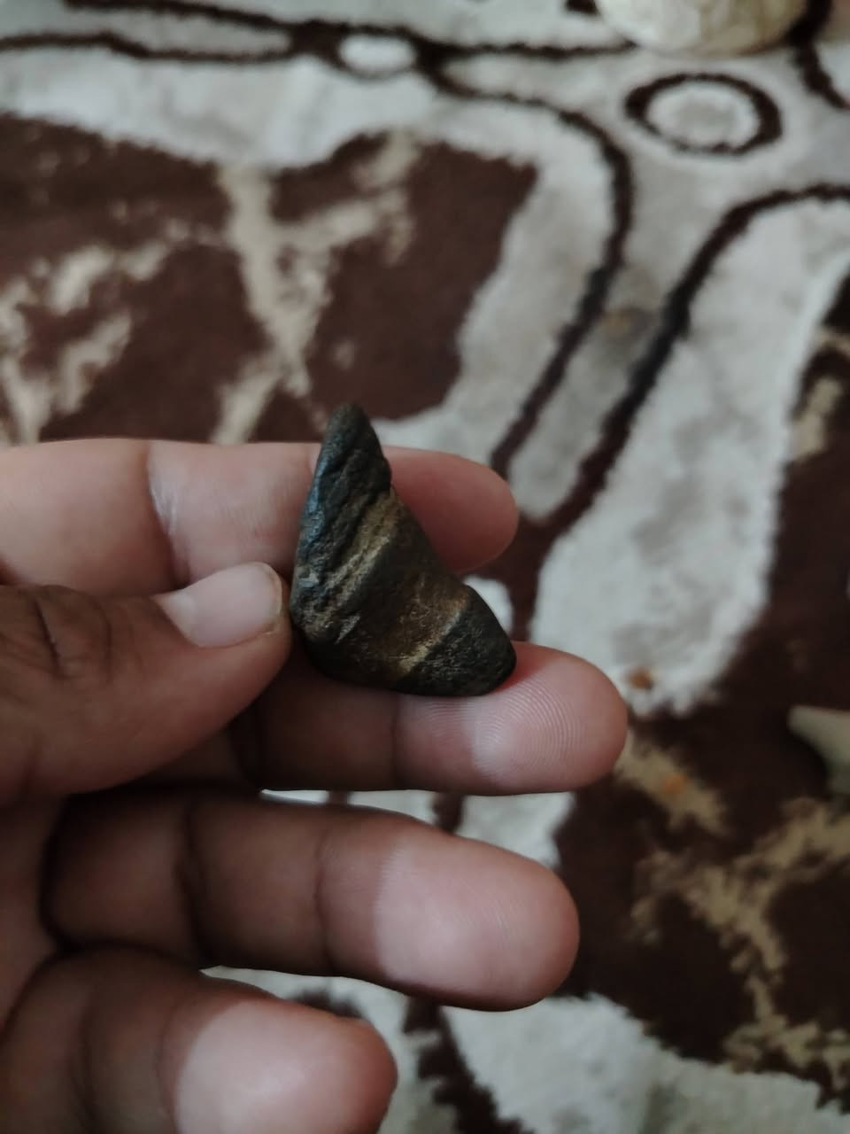 هبهاب مع سلطاني مع داودي خامات تحفه للبيع مكاني بابل


**إذا كنت صاحب هذا الإعلان وتريد حذفه لأي سبب، رجاءا أرسل رسالة إلى الدعم الفني**