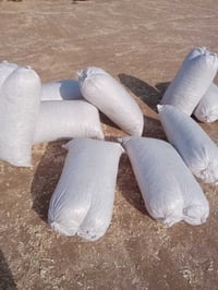 تتوفر نشاره للبيع درجه اولى وبيضاء للاتصال ع الارقام التاليه 078099865...