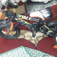 باسكال • بسكليت • جديد