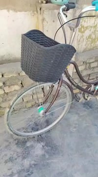 بايسكل • ابوالكير • نظيف