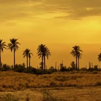 قطعة أرض • نهاوند العشرة الاف • ٢٠٠م