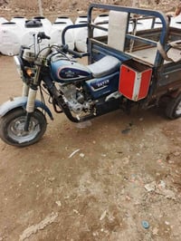 ستوته • موديل 2018 • كوت