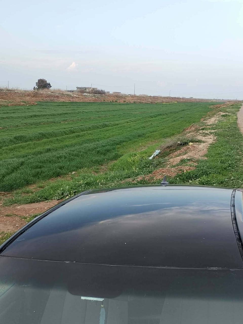 سوناتا ادوات ادوات  2009 بدون لوحات مكينةوكير جدد صدر وتايرات جديد تبريد فول كيجات ليزرية مو عادية جاهزة السعر 45 نهايتها .بيع فقط  الي تفيدة بهالسعر يراسلني او يتصل ***********
