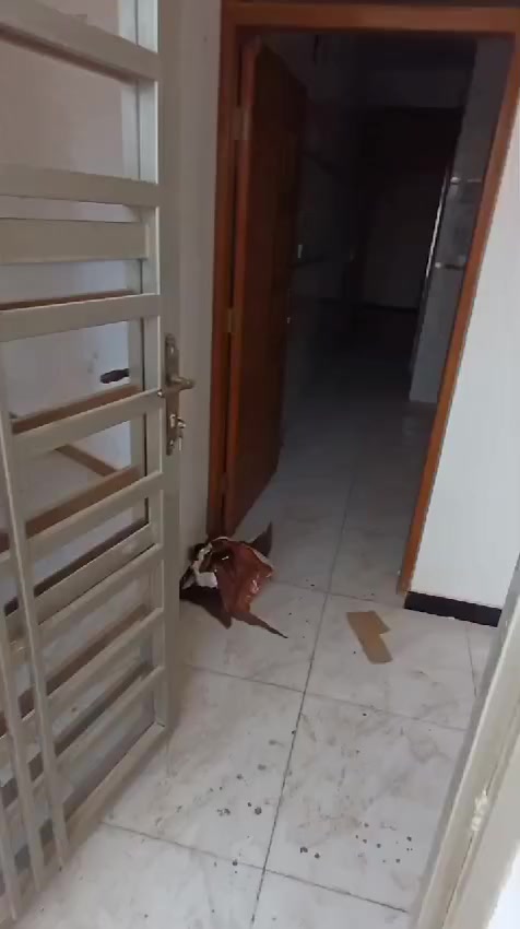 دار لليجار 
طابق اول نهايت شارع اليمكانيك 
   ٤٠٠ قفلة 
الاتصال***********
