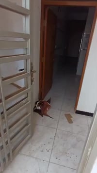 دار للإيجار • طابق أول • نهايت شارع اليمكانيك