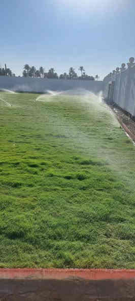 يتوفر لدينا ثيل هندي درجة وسط يتحمل درجات الحرارة العاليه واشعة الشمس المباشره للحجز والاستفسار الاتصال على الرقم *********** جاسم الخليفاوي العنوان الخالديه شارع العام مقابل بلديه الخالديه.
