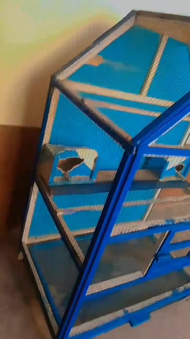 للبيع /***********/
