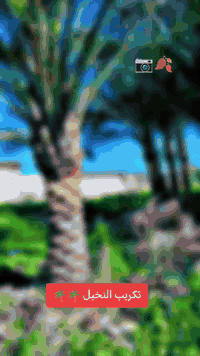 سلام عليكم ورحمة الله وبركاتة 
إني اكرب نخل وعدي فرقه كامله شكد ماعدك نخل نجيك 
وهاذه الشغل خاص مفتوح وهاذه رقمي 
***********
