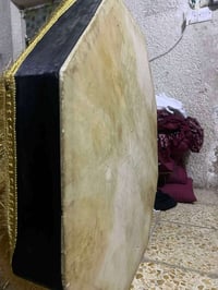 دمام جلد للبيع 07726474188  بغداد مدينة الصدر