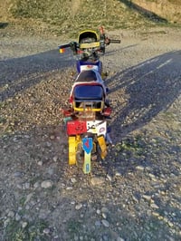 موديل 25 • بدون أوراق • منصورية الجبل