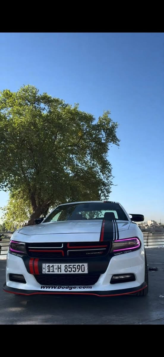 ​🚗 دوج جارجر 2018 للبيع (بغداد) 🚗
المواصفات والتفاصيل:

​الموديل: 2018.

​الوضعية: مجنبزة بالكامل وجاهزة، دينار واحد ما تصرف عليها.

​التحويل: مضمون بشرط التحويل (رقم بغداد).

​حالة البدي: بيها تبديل بيبان اثنين فقط، وباقي السيارة مكفولة.

​الفحص: ترايها زيرو، تعال وافحص وين ما يعجبك.

​🌟 والعافية على الي ياخذها.. سيارة مال مستخدم وجاهزة من كلشي.

​💰 السعر:

​179 ورقة (17,900$)

​📞 للاستفسار والتواصل:

​واتساب أو اتصال مباشر على الرقم: *********** (+9647827293748)
