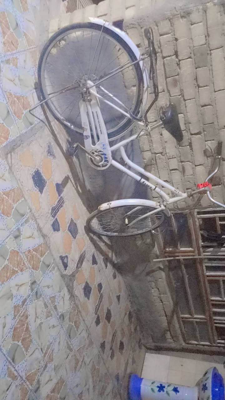 سلام عليكم بيسكل اخت جديد تجي و وتشوفه حلو حجم 206 بسعر 120
مكاني ميسان حي العسكري قرب مدرسة المربد مرسله على خاص


**إذا كنت صاحب هذا الإعلان وتريد حذفه لأي سبب، رجاءا أرسل رسالة إلى الدعم الفني**