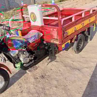 ستوته دايون • أوراق اصولي • للبيع