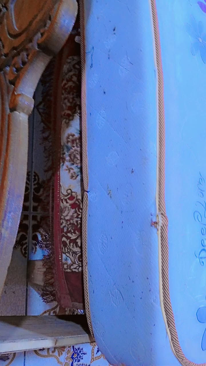 دوشك ابو نفرين ضغط عالي مستعجل على بيعته 40


**إذا كنت صاحب هذا الإعلان وتريد حذفه لأي سبب، رجاءا أرسل رسالة إلى الدعم الفني**