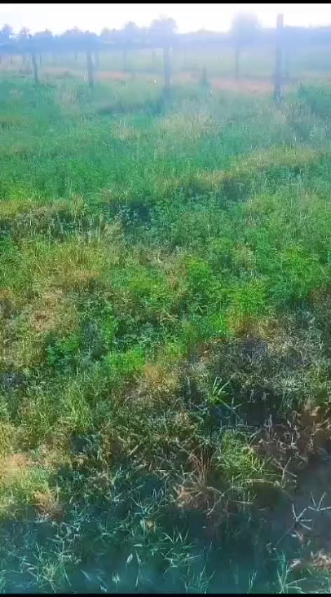 السلام عليكم اخواني الاعزاء 

مكلف بلنشر من أحد الأصدقاء في الصفحة 

قطعه ارض موقع مميز جدا يصلح أن يكون منتج أو منزل مع منتج مو مميز جدا جدا وقريب جدا خلف ملعب الحولي البعنون مباشره قرب بستان  علاء شوكت تتوفر جميع الخدمات ماء وكهرباء وشارع المساحة الكلية نصف دونم متر الواجهة 19/ونص النزال 56  
للاستفسار الاتصال على الرقم التالي ***********
