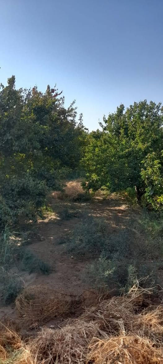 السلام عليكم
بستان للبيع 2 دونم
قرب مزرعة حسين ابو الكون
للأستفسار الاتصال على
***********
***********
