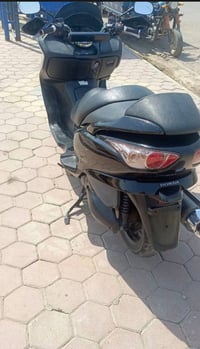 فورزا • ٢٠٠٨ • كوت