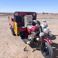 ستوته مكفوله • موديل 2015 • مغربه