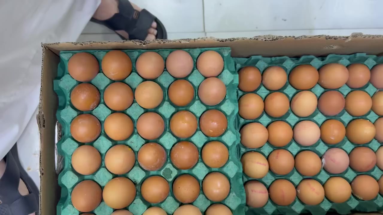 يوميه عروض جديده

عروض رمضانيه جديده
من ماركت ماما شتريلي العنوان حي الناصريه
نهايه شارع المستشفى متواجدين


**إذا كنت صاحب هذا الإعلان وتريد حذفه لأي سبب، رجاءا أرسل رسالة إلى الدعم الفني**