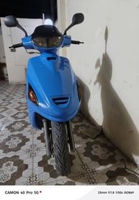 دراجة فراشة • فحل • سعر خاص