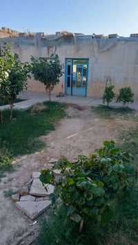 بيت • ٢٥٠م • حي سكينه