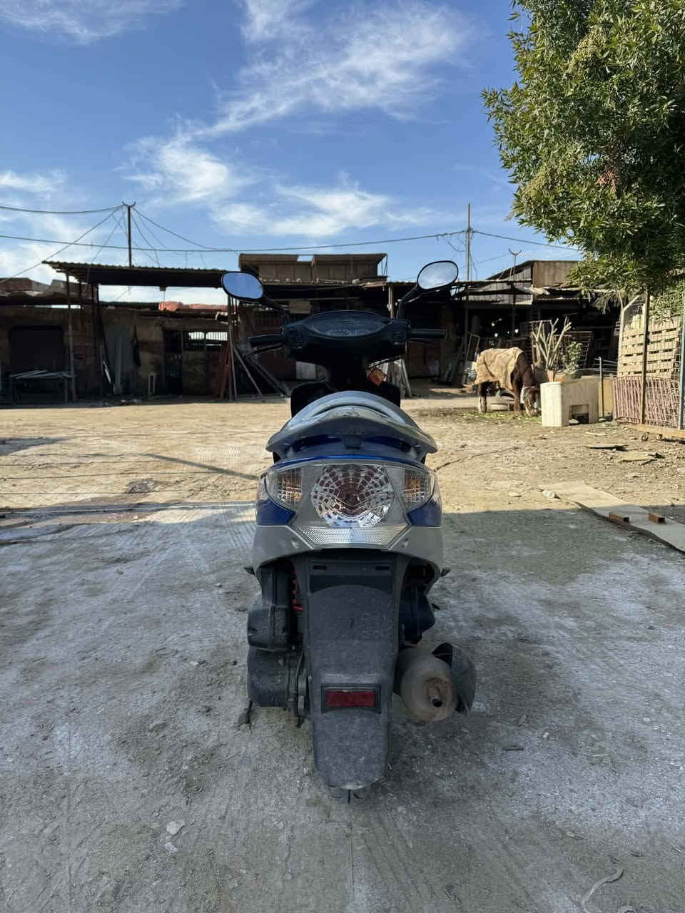 السلام عليكم دراجة كامكو v2دراجة نضيفة كلش  برغي ما مفتوح منها نزلتها من الحاويه يوم 10/9 /2025.  ماشيه 60 الف.  بدون رقم محركها 125 سيسي سعرها 925وبيها مجال الشراي مكاني نجف كوفة فلكة الشهرستاني ***********
