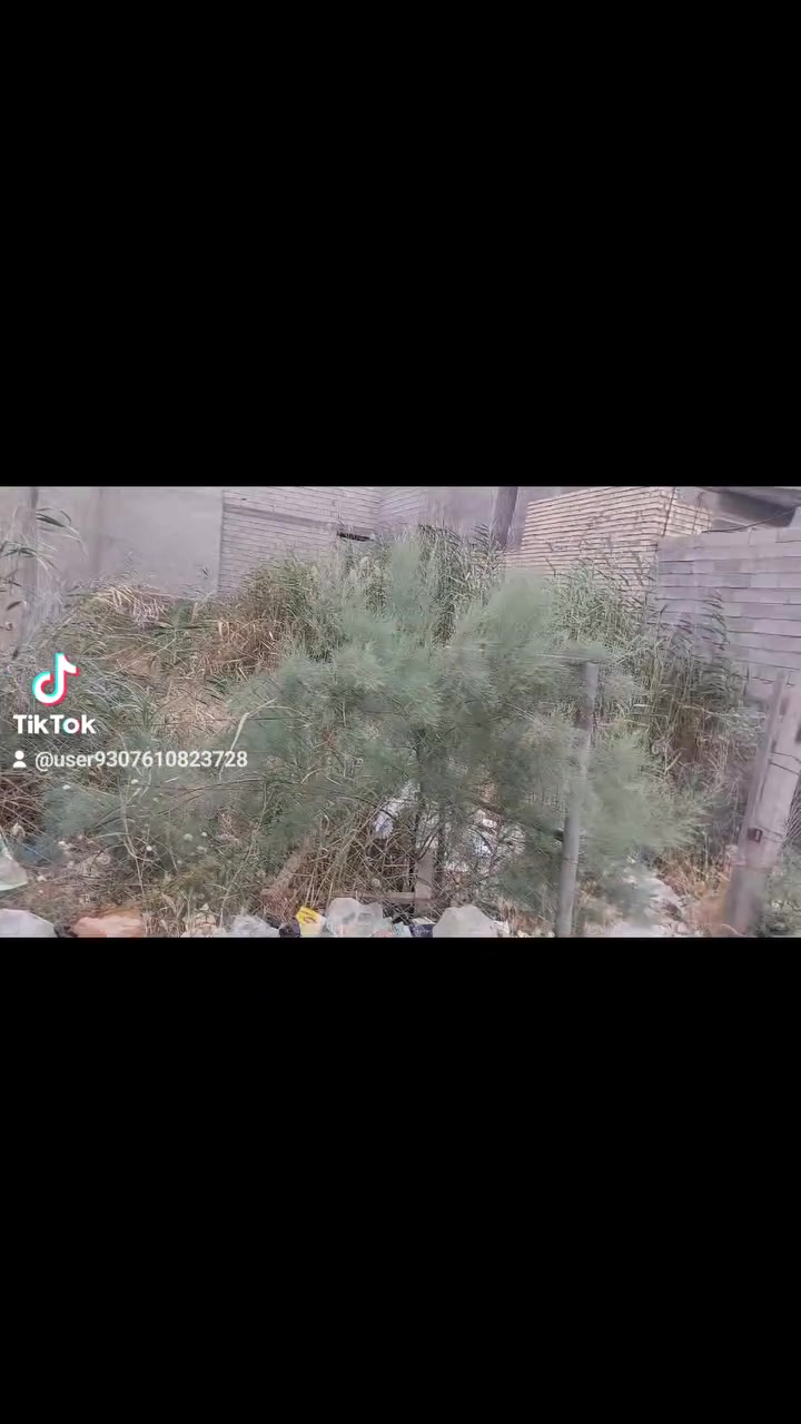 السلام عليكم
قطعة ارض زراعية المساحة ٢٠٠ متر الواجهه ١٠ والنزال ٢٠ الموقع الجمعية الثالثة قرب دائرة المجاري الخدمات كهرباء ماء مجاري 
                   مكتب الحسيني 
                    ***********
