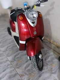 دراجة مصرية • قفل كسن • مكفولة