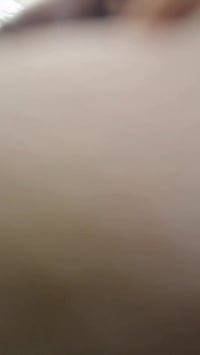 حجر مدفون • حديقة • تحديد النوع