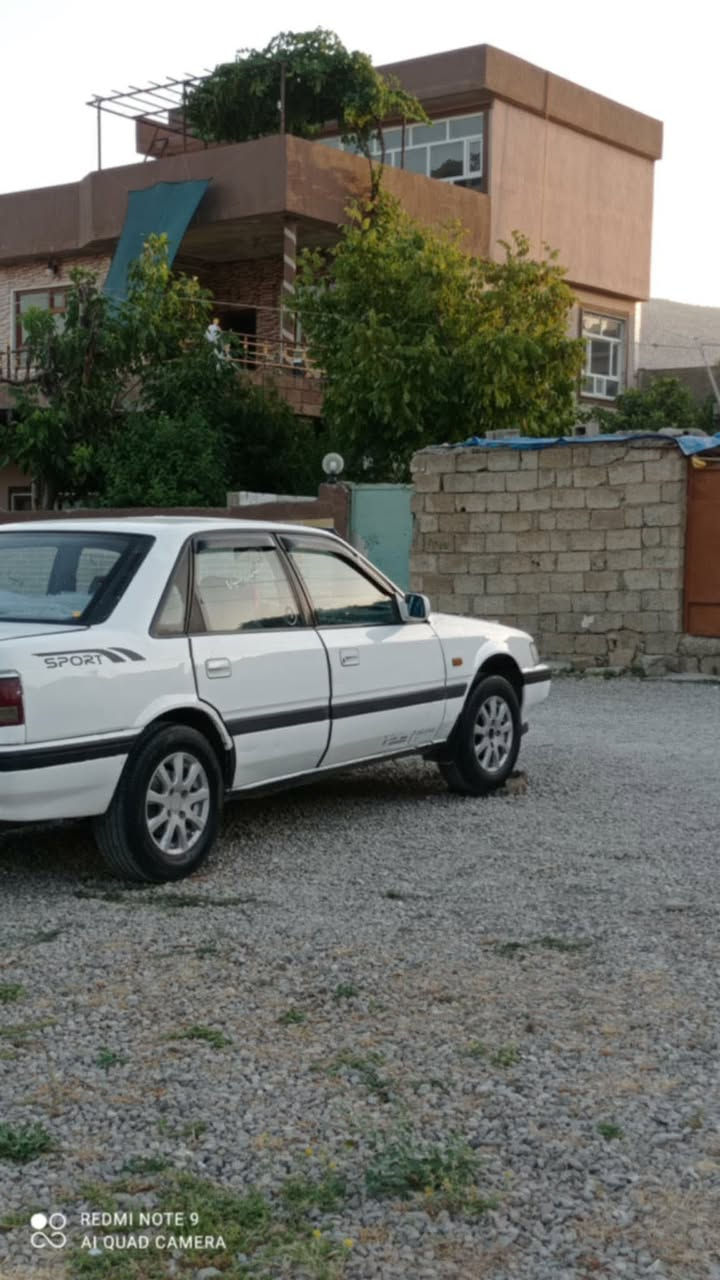 مازده ئارم هه وليره ٨به خ زؤرجوانه سعري 30گه لامعامه له ***********
