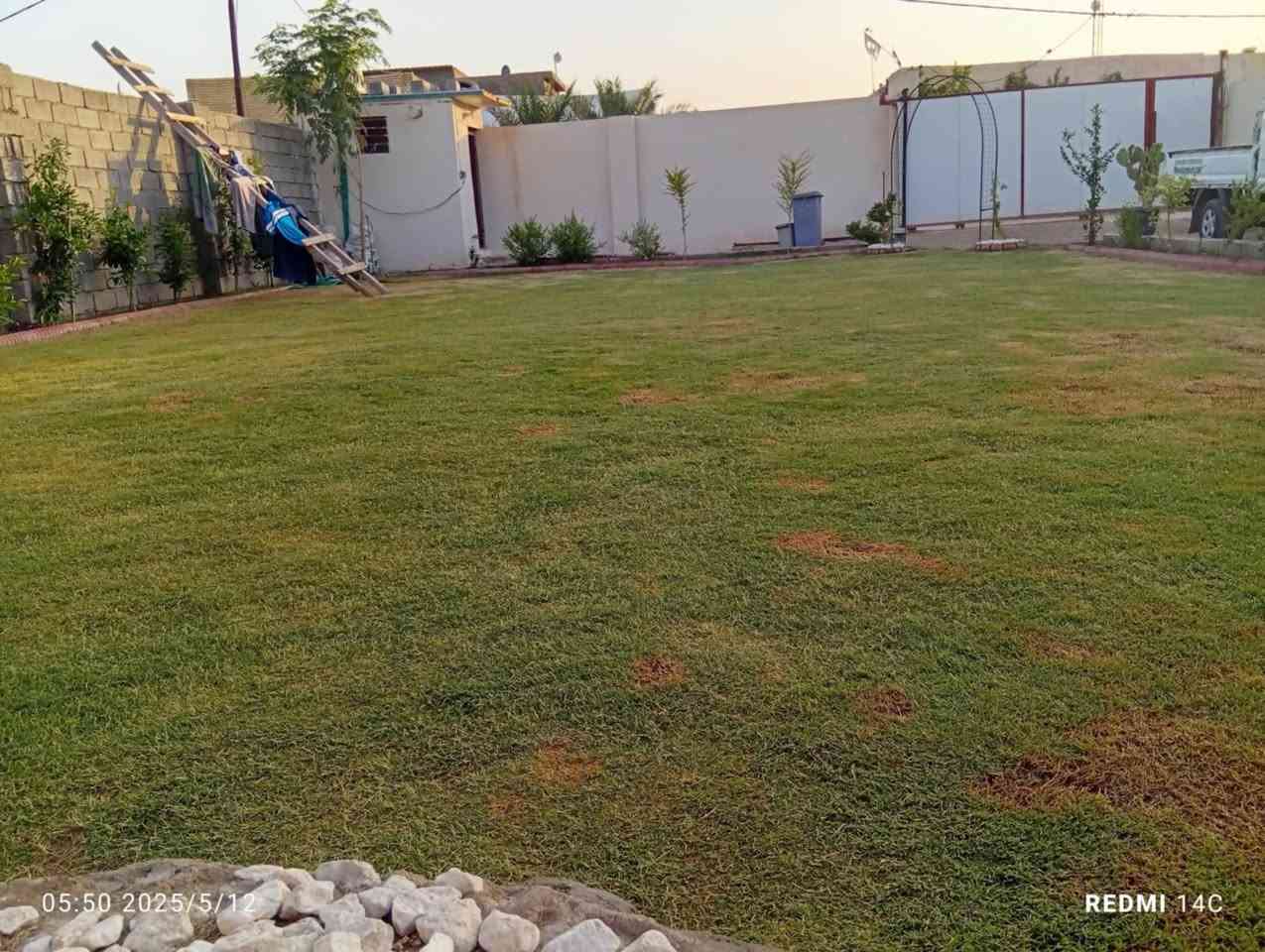 لقص وتزين كافه الحدائق 
🤗🌲🥀🌹
وبأسعار مناسبه حسب حجم الحديقه🏡
 🤗
***********
 ***********
الصور شغلي
