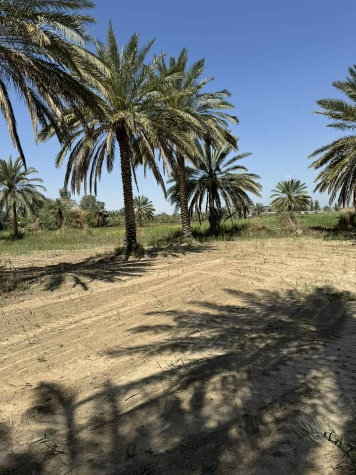 آرض لبيع المساحه ٣دونم نهر الفرات 
ماي كهرباء تبليط 
طريق العلماء 
الأستفسار ***********
