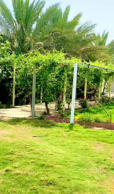 منتجع السعفه الذهبيه🍂
منتجع كامل اجواء من البهجه والهدوء والخصوصيه 🎻🎸🌿🌴🏕️🌲🎸🎻
للعوائل
📍صلاح الدين/قضاء بلد 

      يتضمن المكان كل وسائل الراحه وأفضل خدمة 🎻
🍂ببناء حديث بتصميم عصري 🏡 
🍂الخصوصية والامان والنظافة💯
🍂كهرباء على مدار الساعة 24🔋
🍂شبكة اتصالات انترنيت📲
🍂مسبح كبير وصغير للاطفال 🏊
🍂صحيات داخليه  🫧
🍂مكان مخصص للشواء 🍖🍗
🍂كراج سيارات كبير 🚙🏎️
🍂العاب ترفيهيه /منضده🏓+بليارد🎱+فيشه🥅
🍂تحتوي على صاله مجهزه ومؤثثه وغرفتين نوم ومطبخ مجهزة بالكامل 
نستقبل الحجوزات من عوائلنا الكريمة  على مدار الاسبوع  بنظام حجز شفت واحد و (24) ساعة مبيت
للحجز الاتصال على 0787 070 3304
