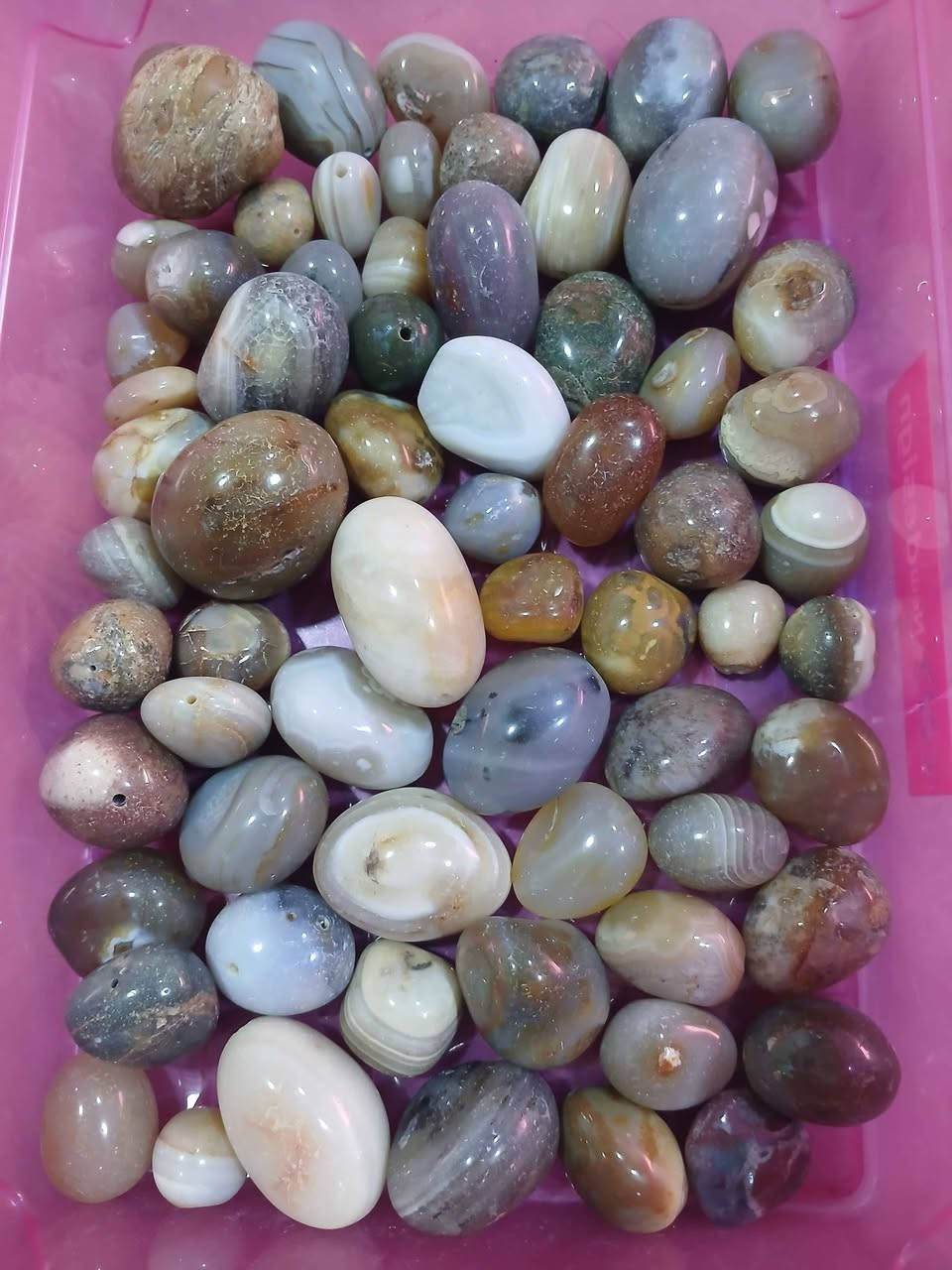 احجا كريمه منوعه ابيعهم جمله سعر 3  مليون سعر ثابت بدون عمله ولا اسئله عن النوع والشكل


**إذا كنت صاحب هذا الإعلان وتريد حذفه لأي سبب، رجاءا أرسل رسالة إلى الدعم الفني**