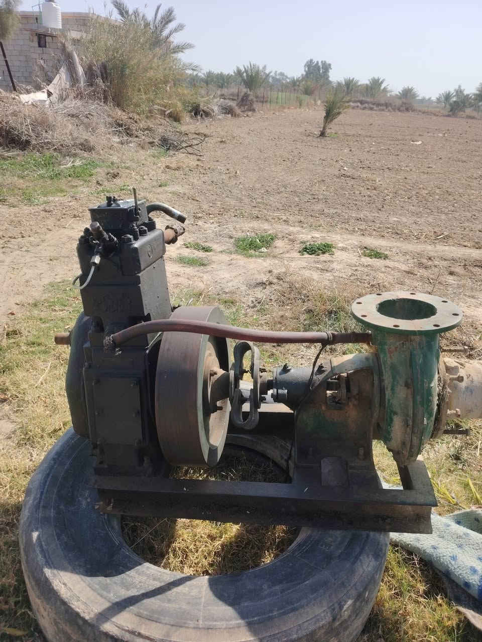 آلسـلآمـ عليـﮯگمـ  يـﮯوجد مـآطـور هہ‏‏نديـﮯ جديـﮯد گلشـ وشرطـ شـغل خنزيـﮯرهہ‏‏ آبو 6 گآمـل مـع بوريـﮯآتهہ‏‏ سـعر 550آلف آلعنوآن وآسـطـ. آلعزيـﮯزيـﮯهہ‏‏ ***********
