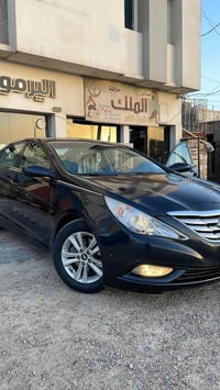 سوناته • ٢٠١٣ • وارد امريكي