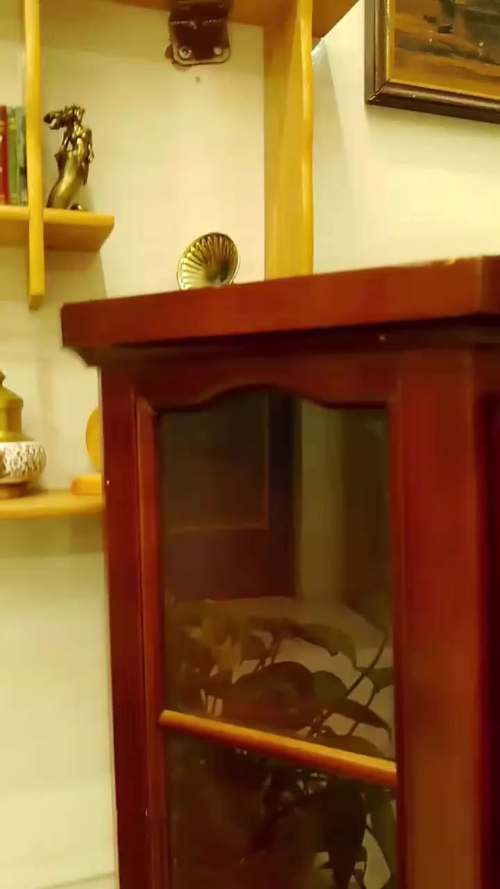 فاترينه قياس 
57x53


**إذا كنت صاحب هذا الإعلان وتريد حذفه لأي سبب، رجاءا أرسل رسالة إلى الدعم الفني**