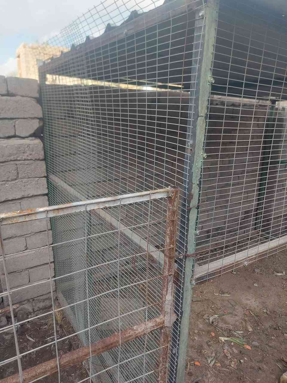 محميه جبيره وشغل درجه اولى وصارت عليه ب٣٥٠  ورايدها ب٢٥٠ والشراي يدلل مكاني بصره قضاء القرنه اتصال/***********
