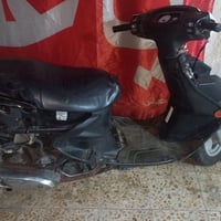 فراشه • حلوه • سعر مناسب