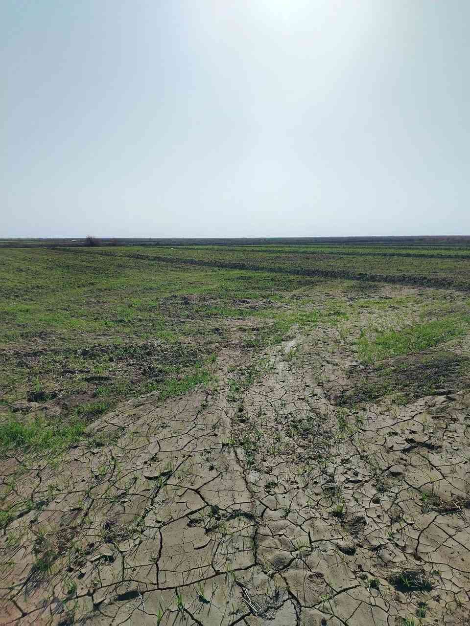 أرض زراعيه ٥٠ دونم للبيع عقد زراعي
خلف مطار الصويره مزروعه حنطه للاستفسار الاتصال على الرقم *********** مكلف بل نشر
